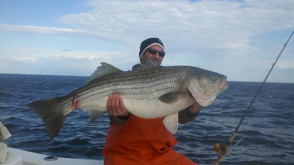 mike firios 46 lb striper